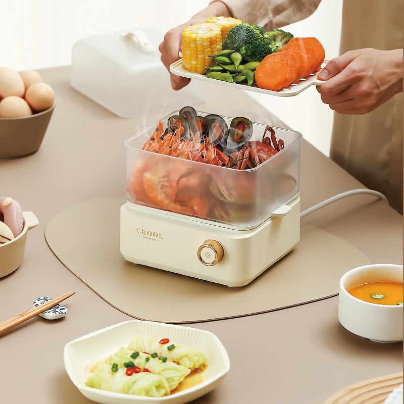 200W Eierkocher mit Doppelschi – Egg Cooker Rapid Bewertung und Preis