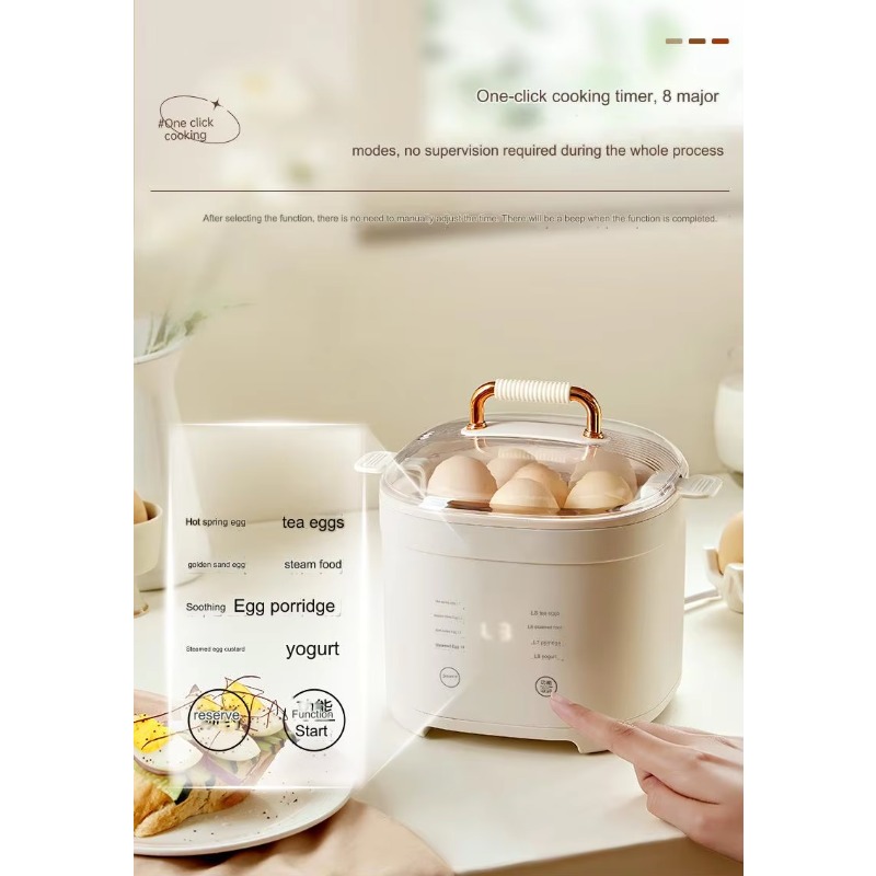 Multifunktionaler Neuer Elektr – Egg Cooker Rapid Bewertung und Preis